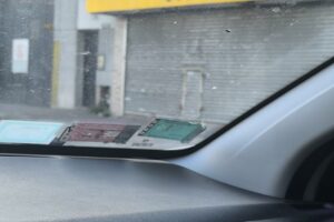 Lo Que Mastica Tu Mascota