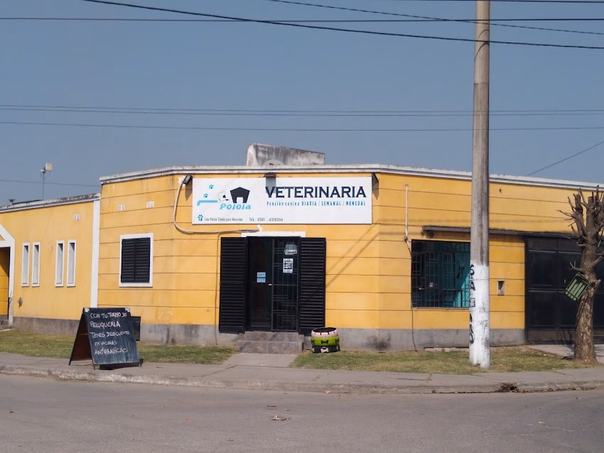 Lola Polola Pension Canina y Veterinaria