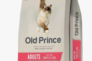 Los Cachorros Petshop