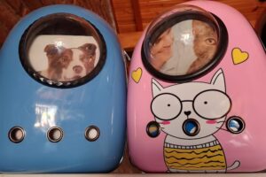 Los Cardones PetShop