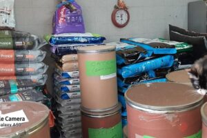 Los Cuzquitos Salon de belleza canina y Pet Shop