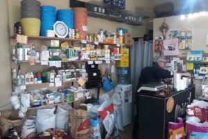 Los Gaston Vivero Petshop