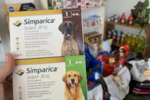 Los Hermanos PetShop