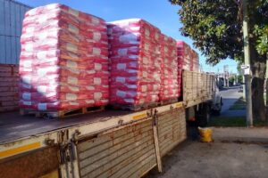 Los Perros Hermanos Pet Shop