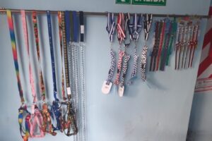 LuquiLuz Alimentos balaceados para mascotas y productos