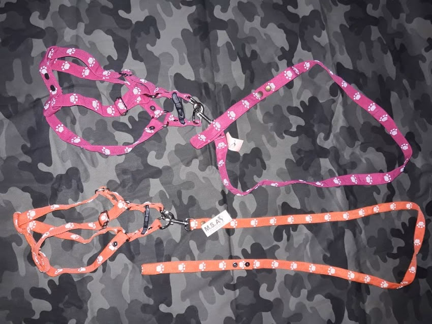 Msa Accesorios para Mascotas Distribuidora