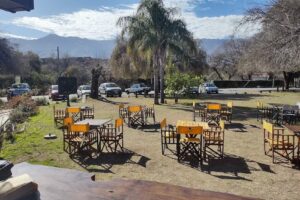 Madre Raiz panadería consciente