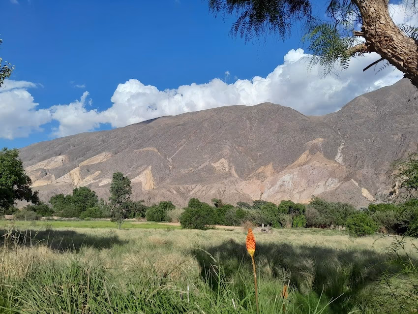 Maima Café Resto Bar