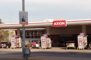 Maiolo Tienda De Mascotas