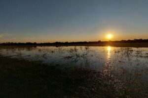Malvinas norte departamento Esquina Corrientes
