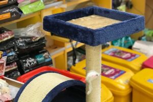 Martín Pescador Pet Shop