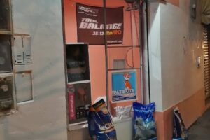 Mas que Mascotas tienda Online