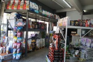 Mascota Point By Dm Mascotas Munro