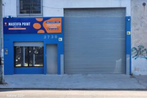 Mascota Point By Dm MascotasSan Andres