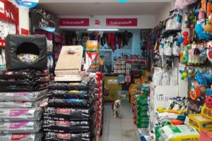 Mascota Universo Sucursal Salta 1879