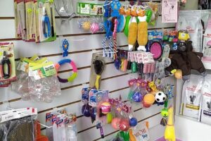 Mascotas consentidas