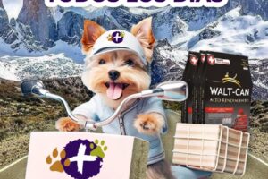 Mascotitas Patagonicas