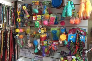 Maylen Estetica Canina