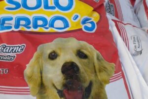 Mayorista de Mascota