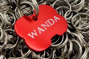 Medallas para perros