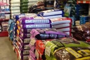 Mega Mascota Rosario