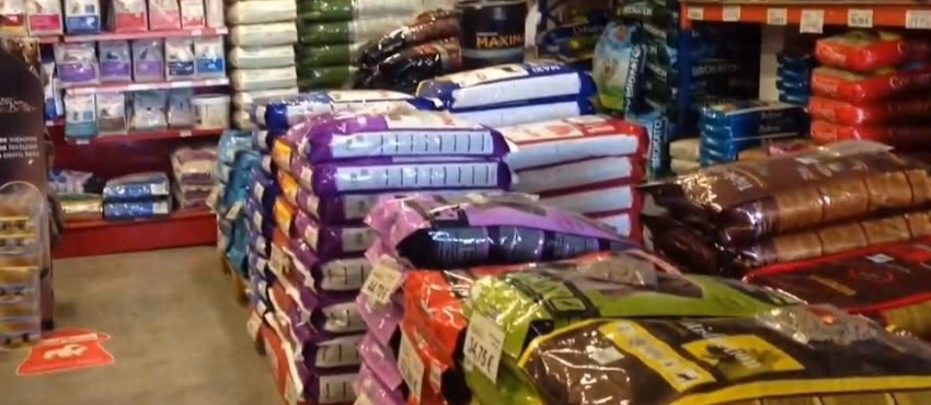 Mega Mascota Rosario