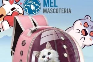 Mel Mascoteria