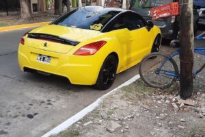 Mendieta Veterinaria