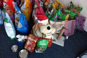 Mi Amigo Fiel Tienda de mascotas