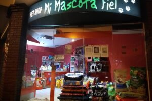 Mí mascota fiel