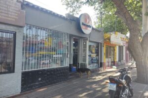 Mi Mascota pet shop tienda de mascotas