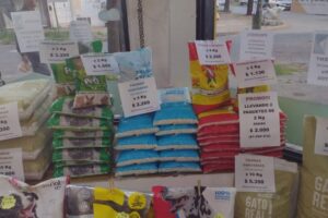 Michi Tienda de Mascotas