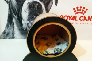 Mil Mascotas Pehuajo