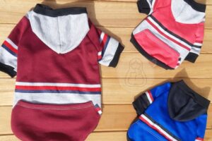 Mil Oportunidades Jujuy