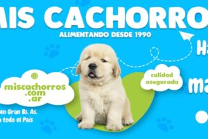 Mis Cachorros Alimento balanceado