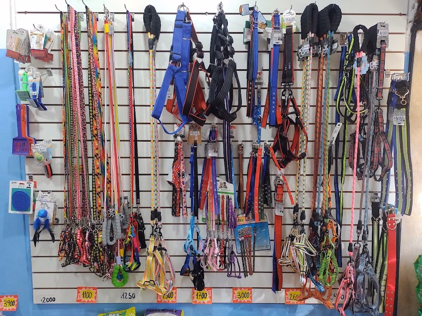 Mis Dos Cachorros todo para tus mascotas