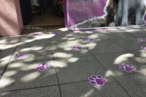 Mis Patitas Pet shop