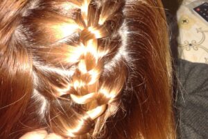 Mister Dog Pet Shop Peluquería Canina