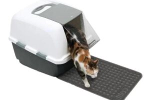 Mogetta tienda de mascotas semilleria