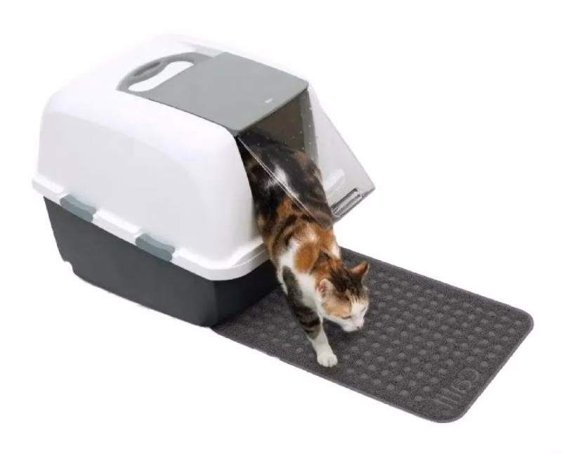 Mogetta tienda de mascotas semilleria