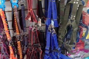 Molis Pet Shop Tienda de de accesorios y alimento para mascotas