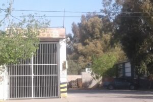 Molino Santa Lucia Srl