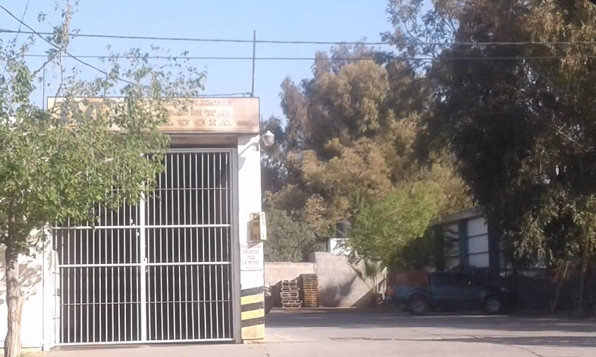 Molino Santa Lucia Srl