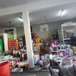 Molli Tienda de Mascotas