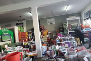 Molli Tienda de Mascotas