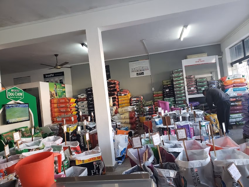 Molli Tienda de Mascotas