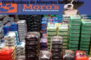 Moras Mascotas Distribuidora x mayor y x menor