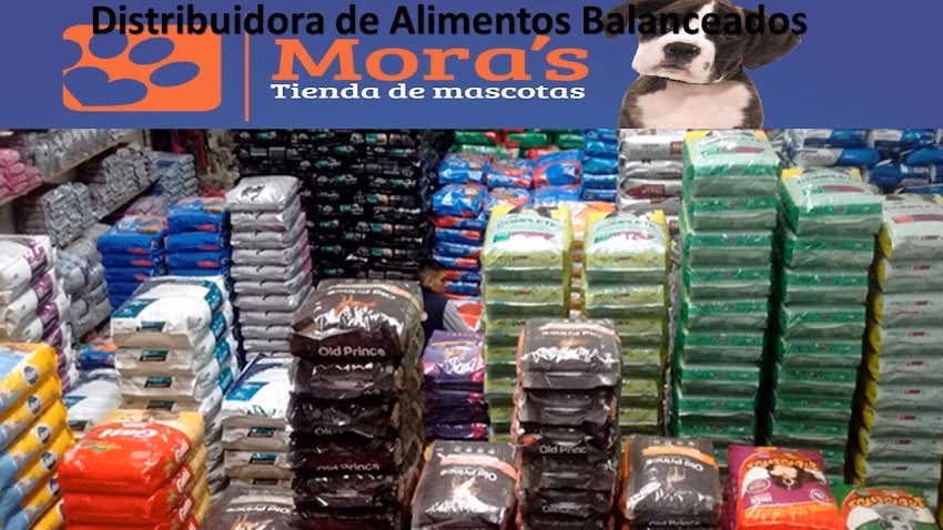 Moras Mascotas Distribuidora x mayor y x menor