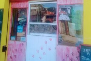 Mr chihuahua pet shop