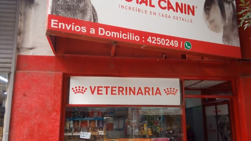 Mundo Animal